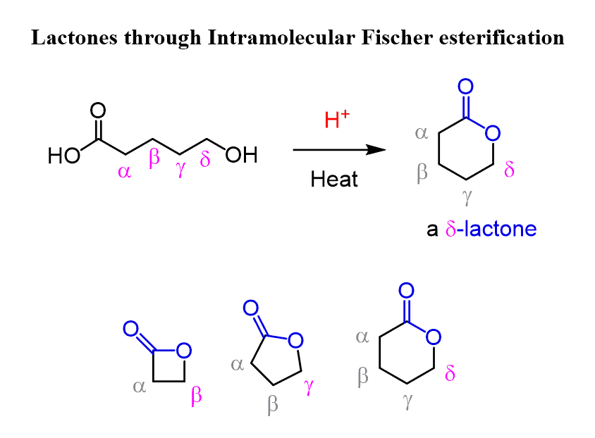 Lactones through Intramolecular Fischer esterification