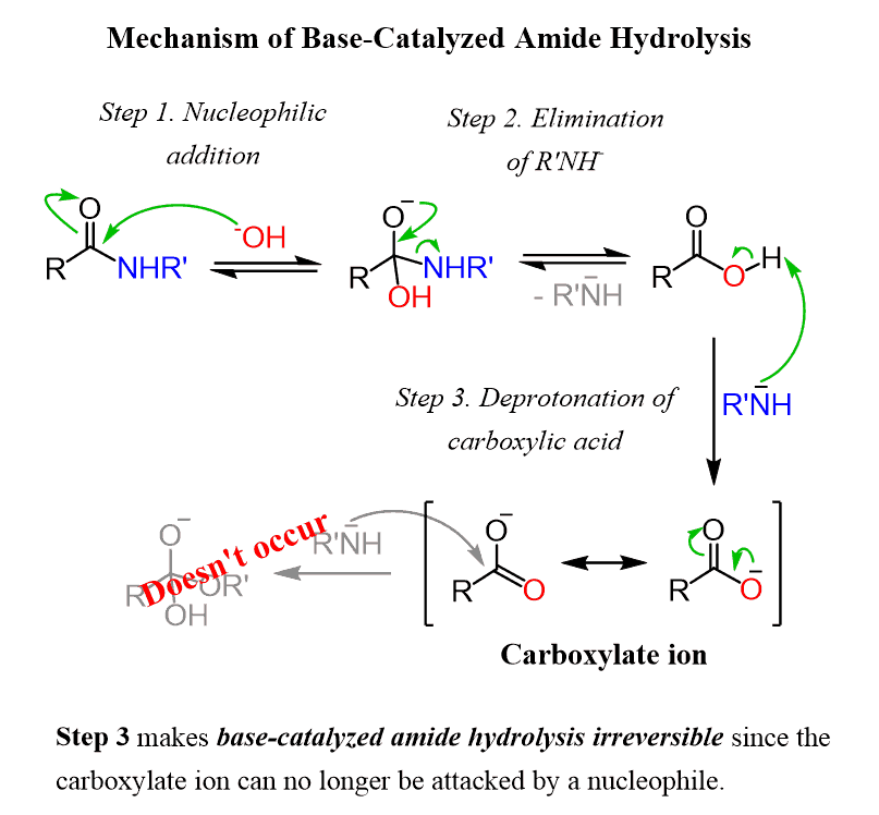 Mechanism of Base-Catalyzed Amide Hydrolysis