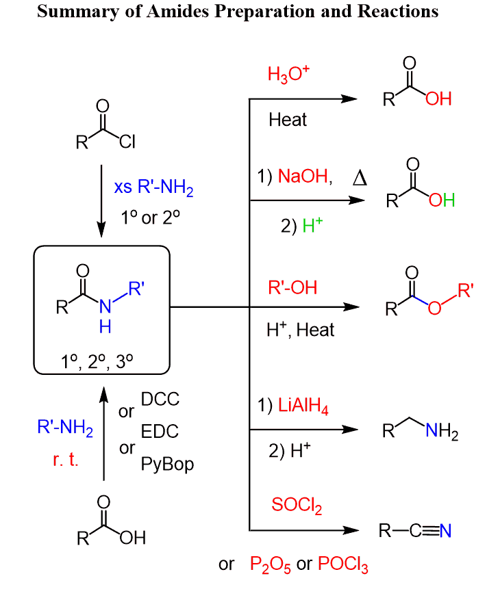 amide reactions summary - hydrolysis, reduction, dehydration