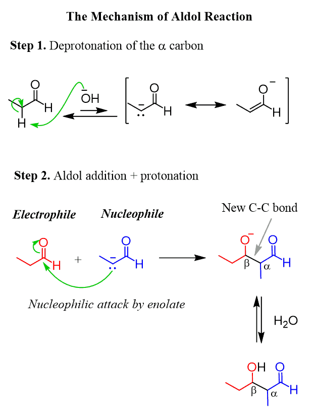Aldol Reaction Mechanism