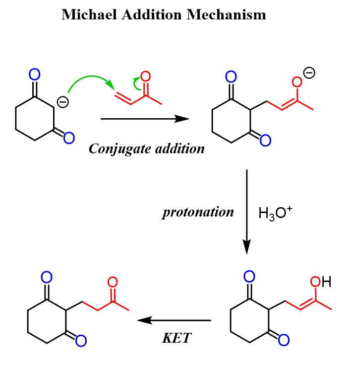 Michael Addition Mechanism