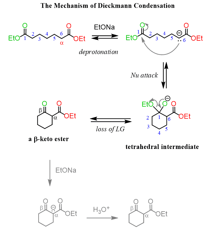The Mechanism of Dieckmann Condensation