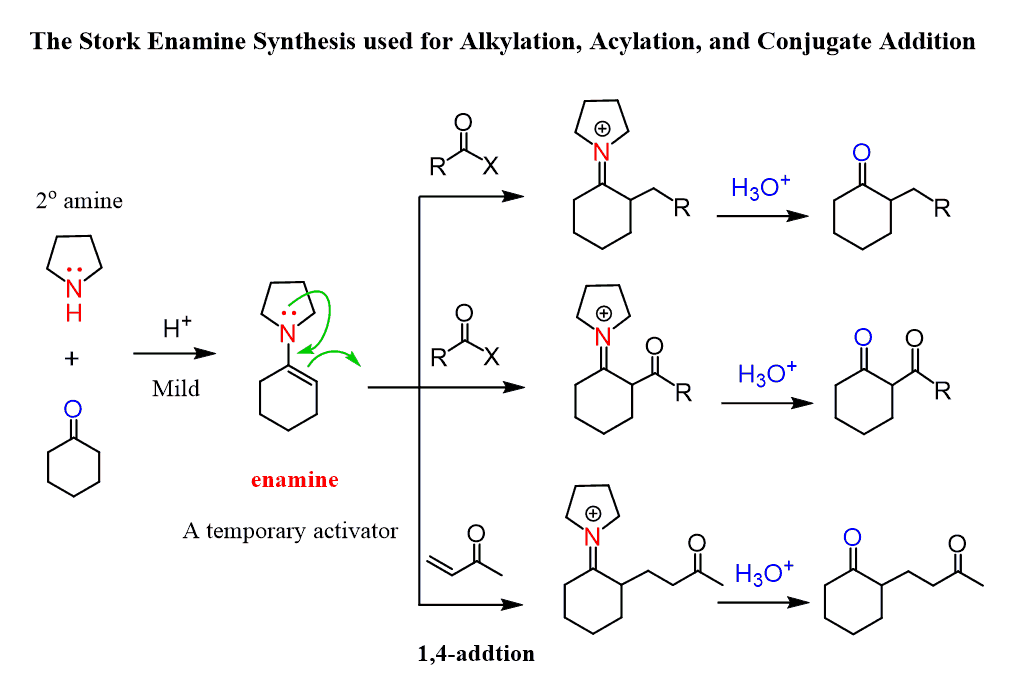 The Stork Enamine Synthesis used for Alkylation, Acylation, and Conjugate Addition