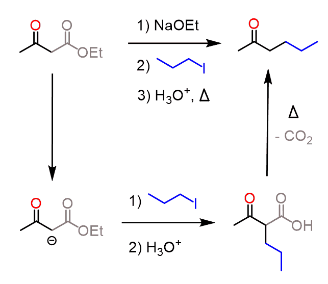 example of acetoacetic ester synthesis - preparing 2-hexanone