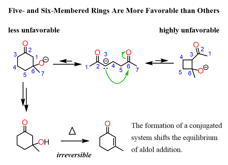 five and six membered rings are favorable in intramolecular aldol reactions