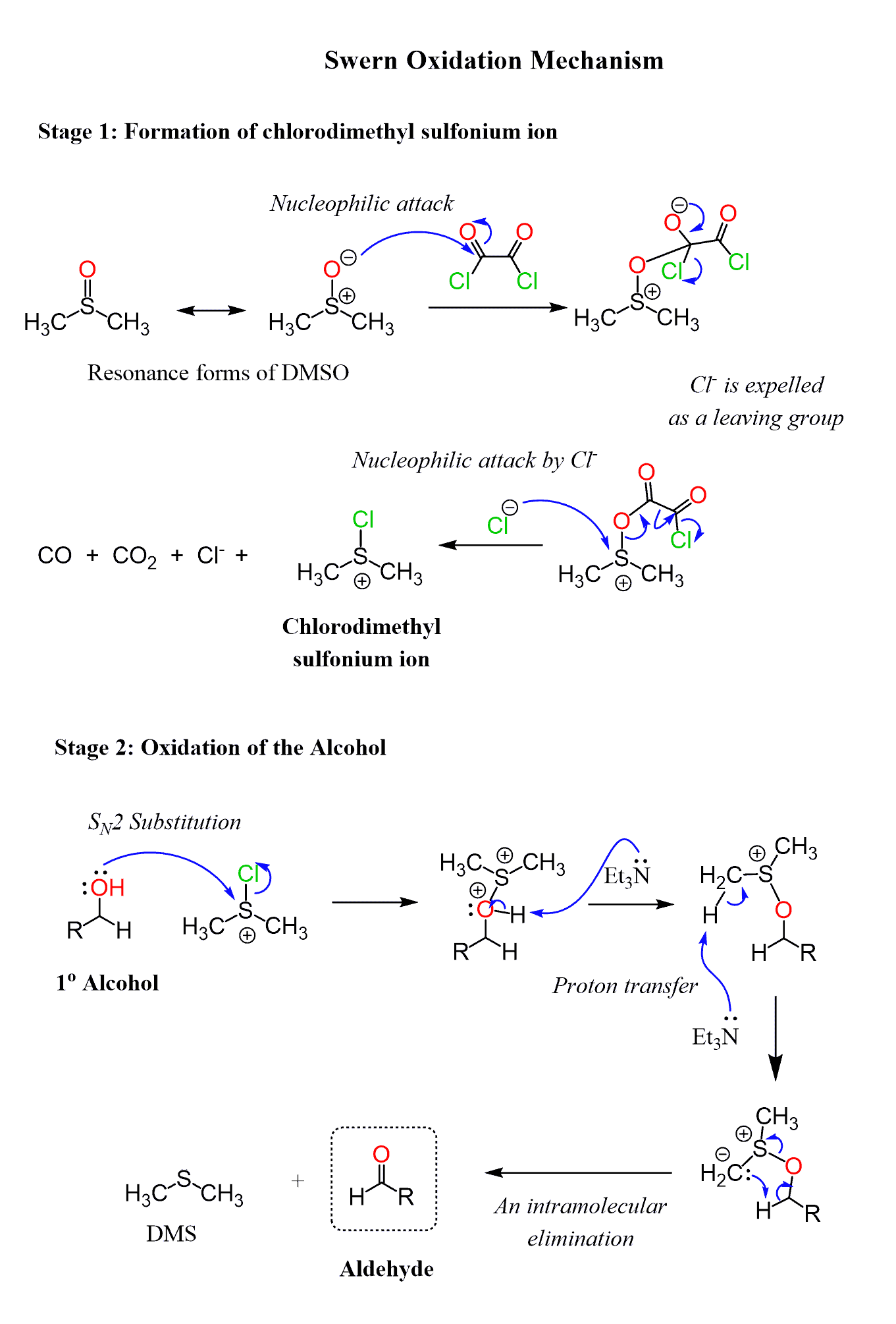 Swern Oxidation Reaction Mechanism