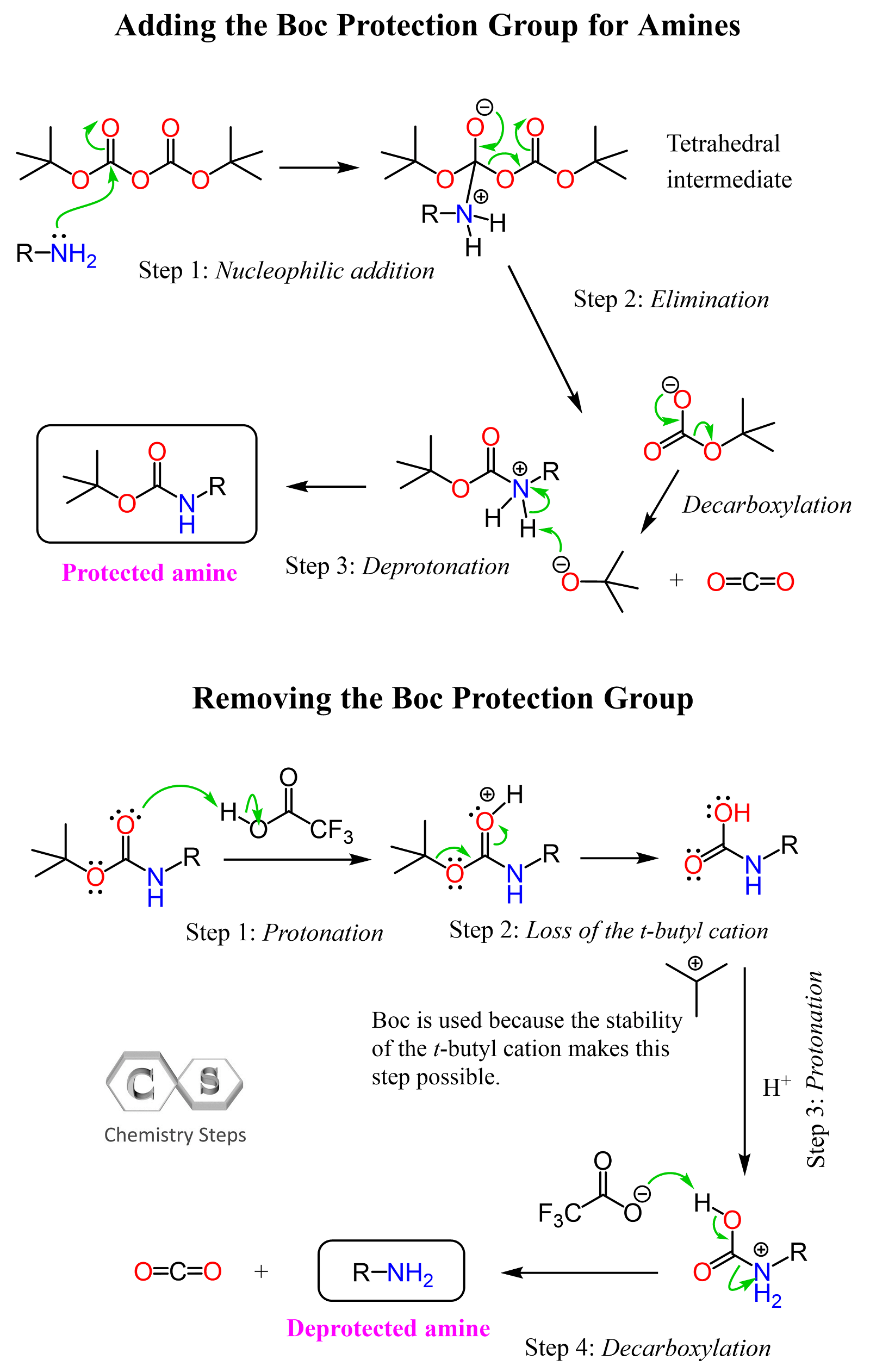 Boc Protection Group for Amines