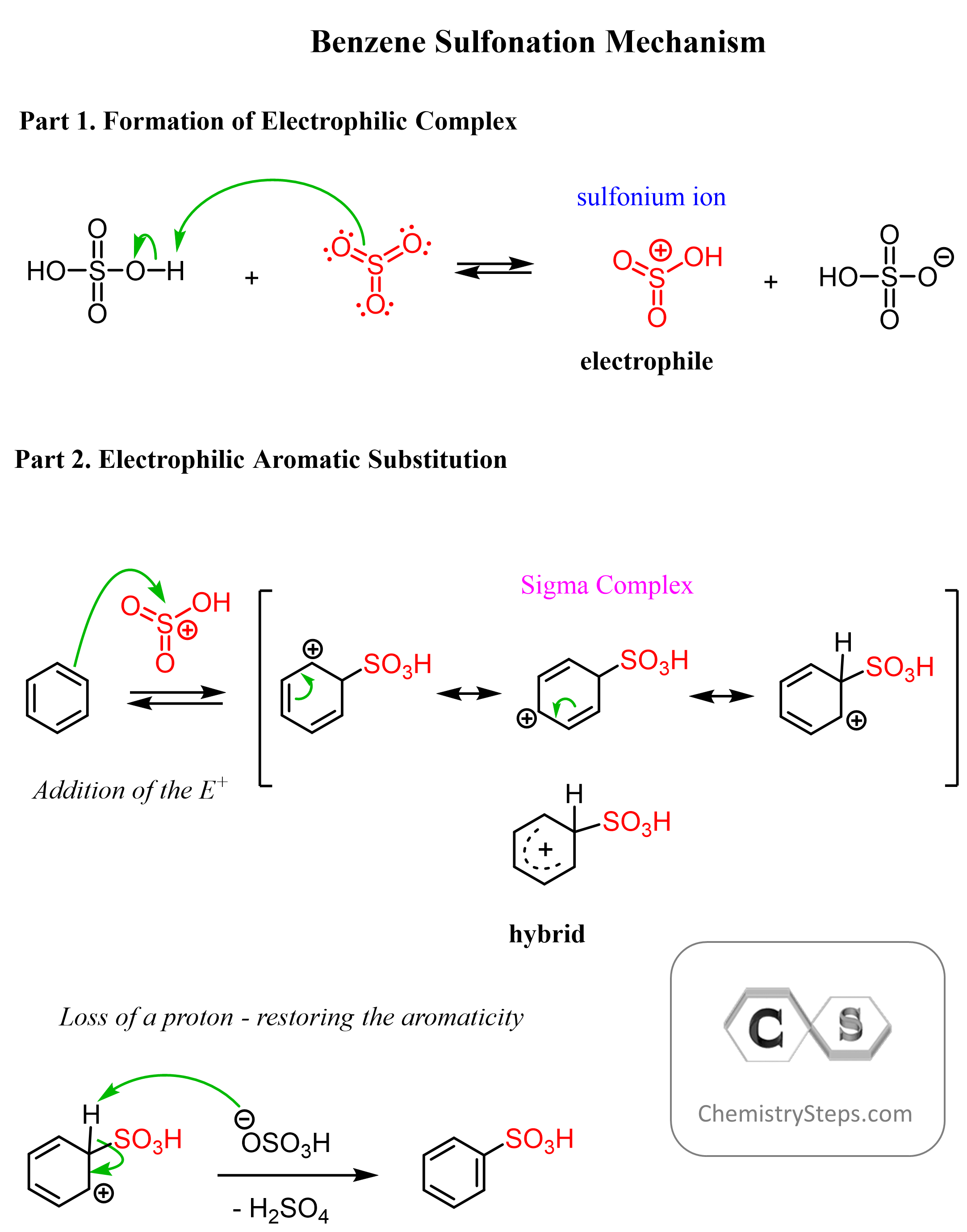 Benzene Sulfonation Mechanism