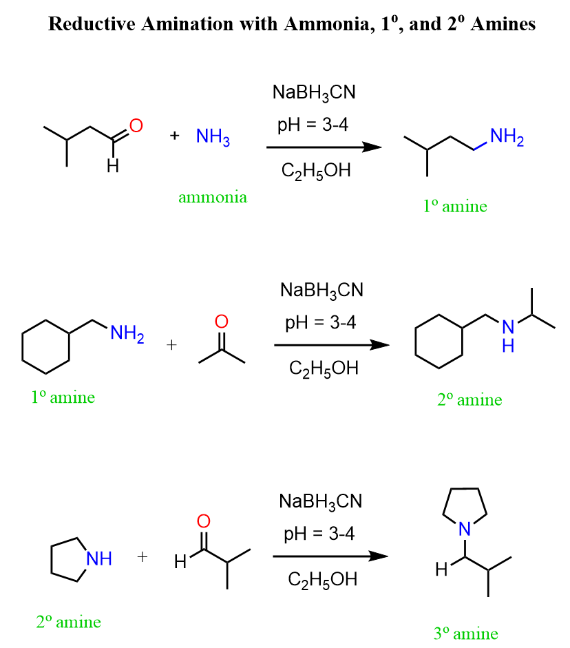 Reductive Amination
