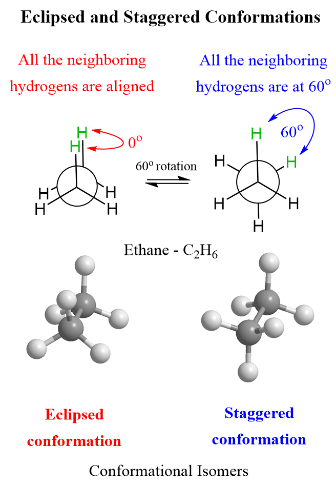 Eclipsed and Staggered Conformations
