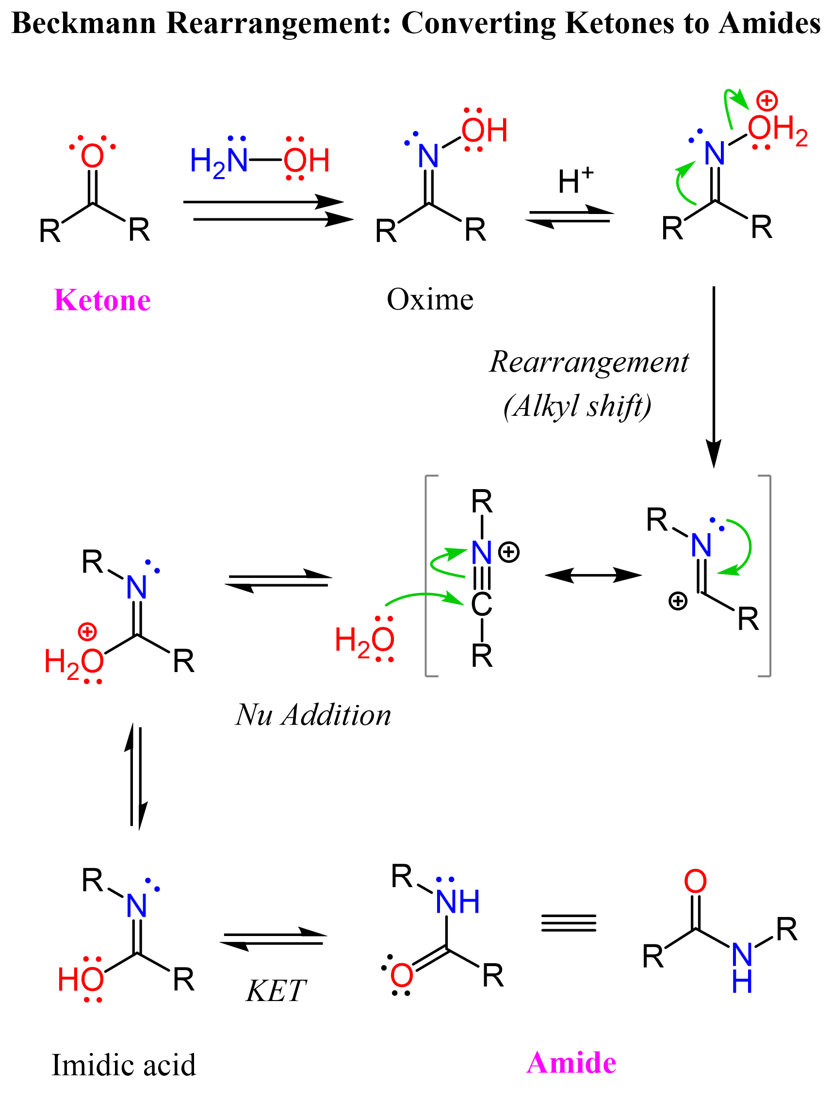 Beckmann Rearrangement- Converting Ketones to Amides