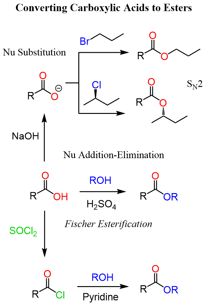 Converting Carboxylic Acids to Esters