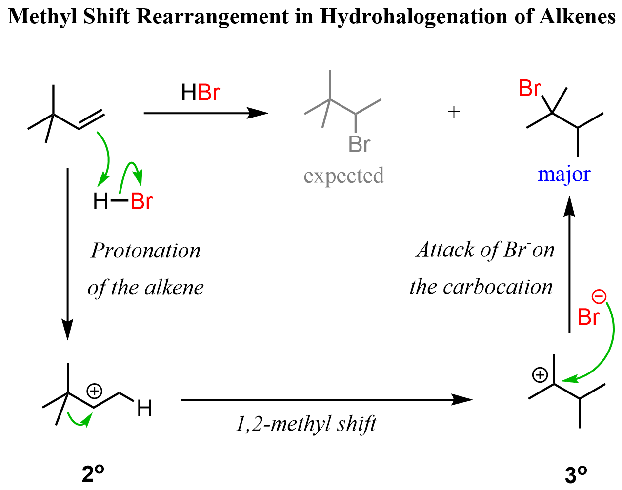 Methyl Shift Rearrangement in Hydrohalogenation of Alkenes