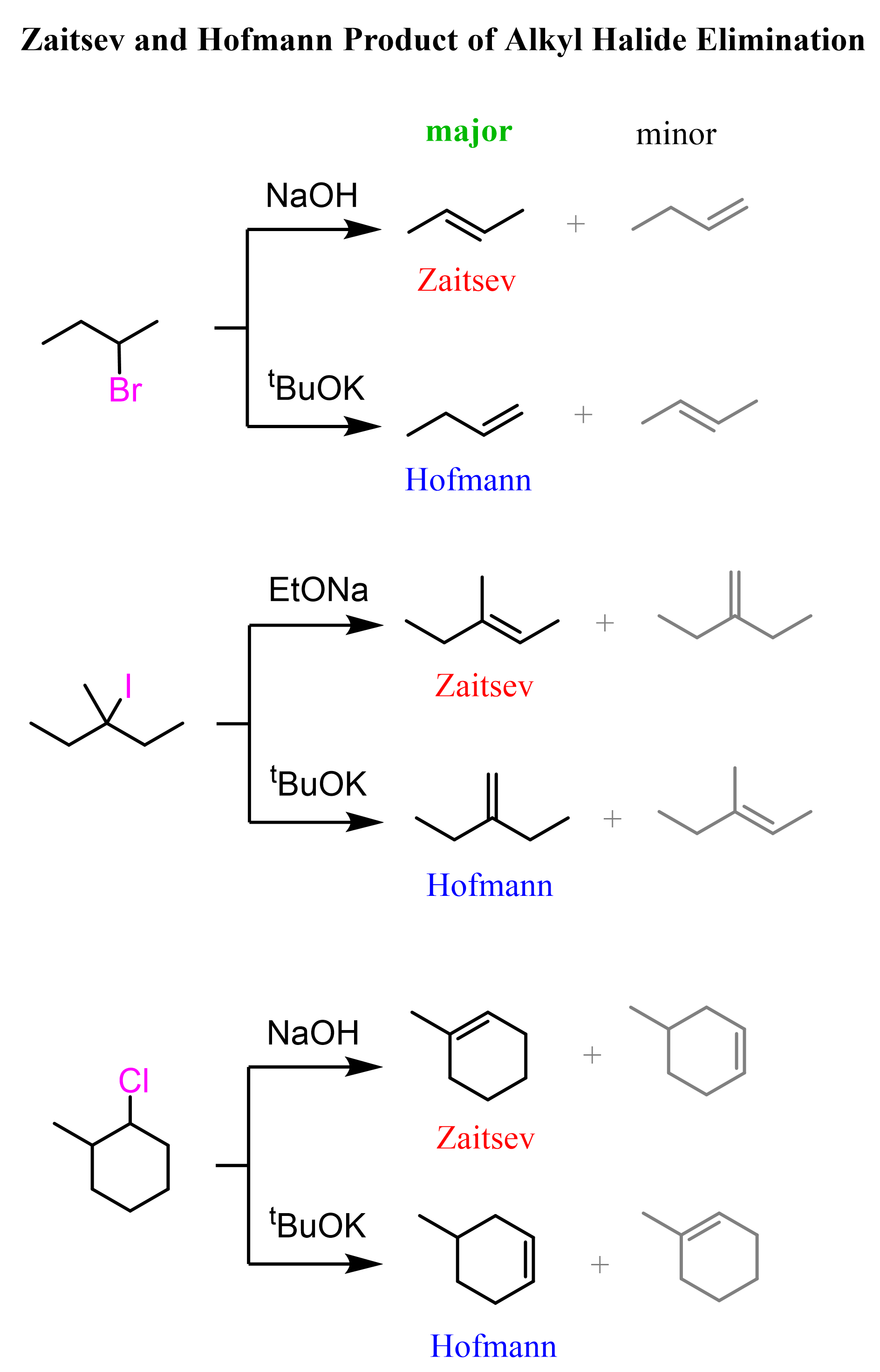 Zaitsev and Hofmann Product of Alkyl Halide Elimination