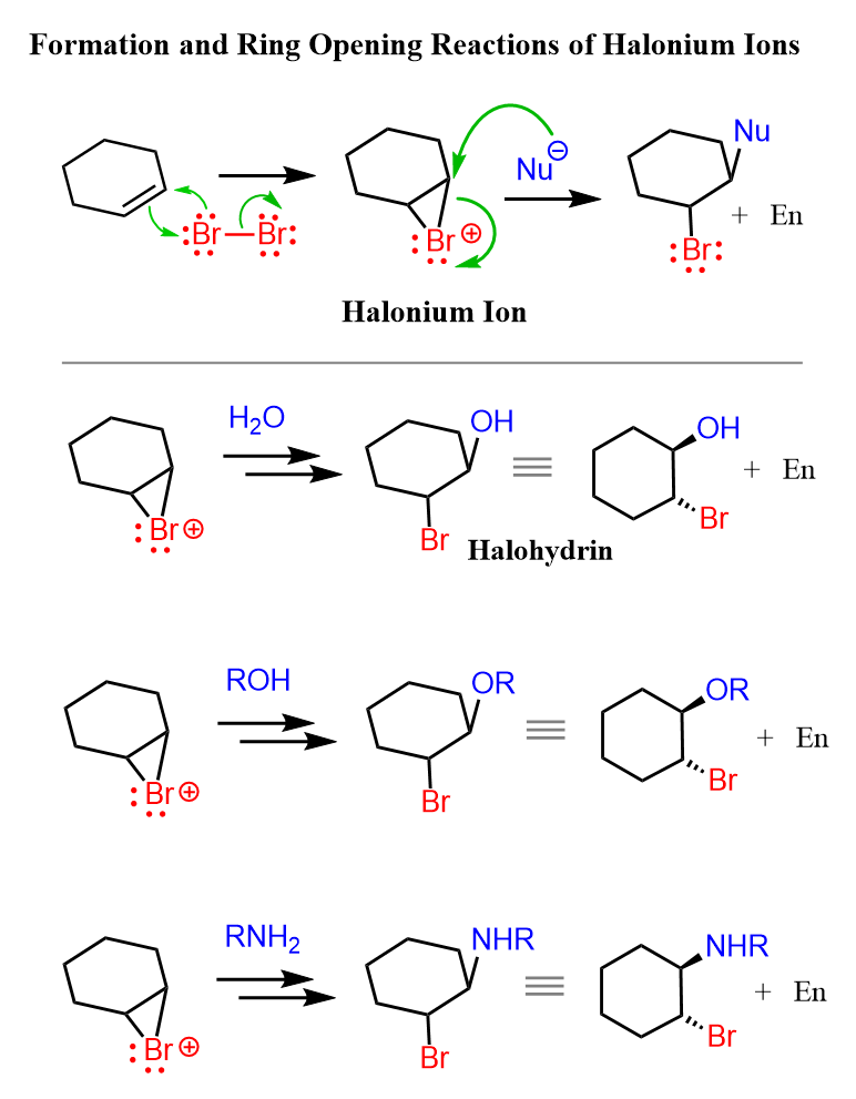 Formation and Ring Opening Reactions of Halonium Bromonium Ions