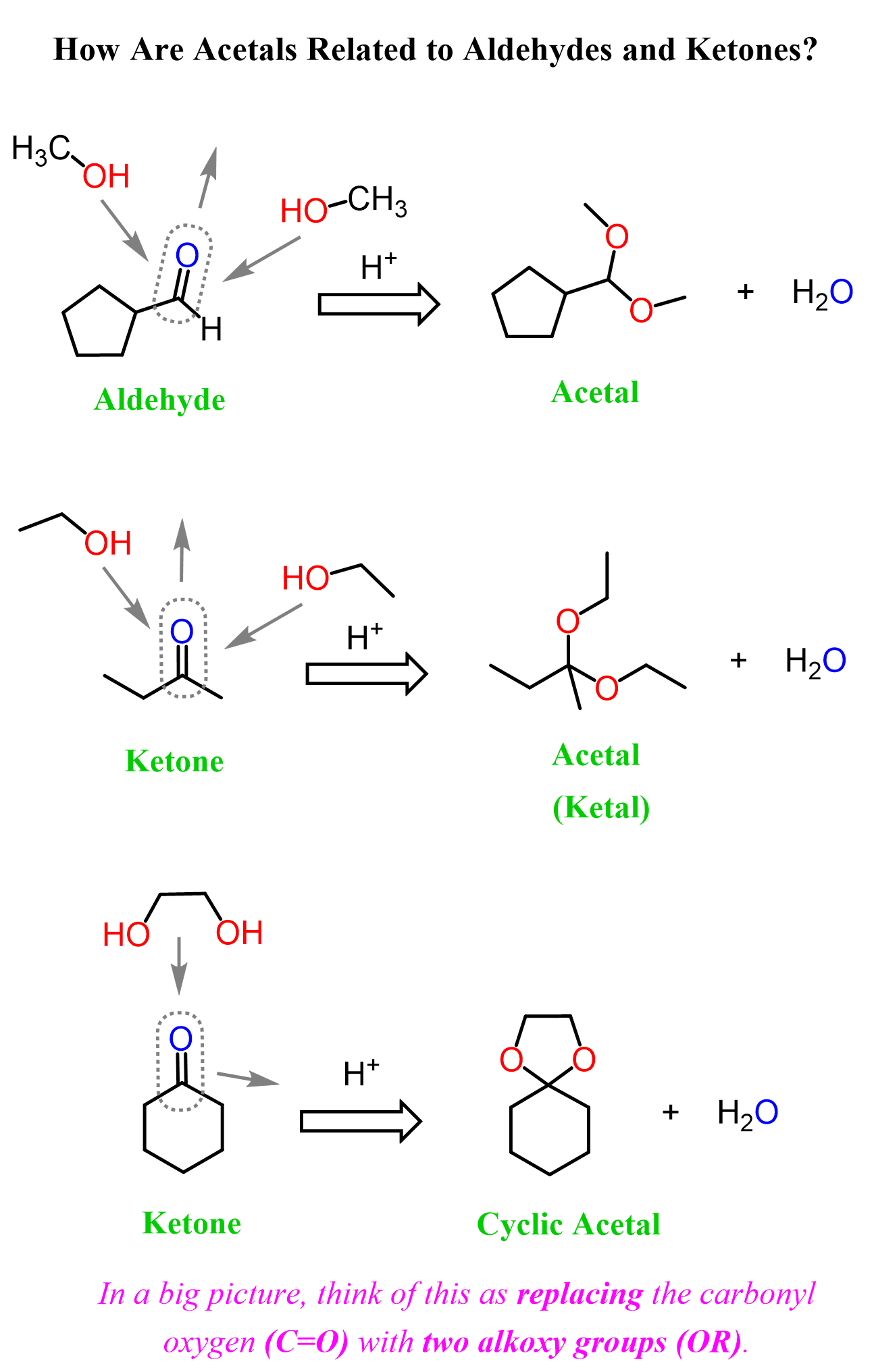 How Acetals are formed and Related to Aldehydes and Ketones