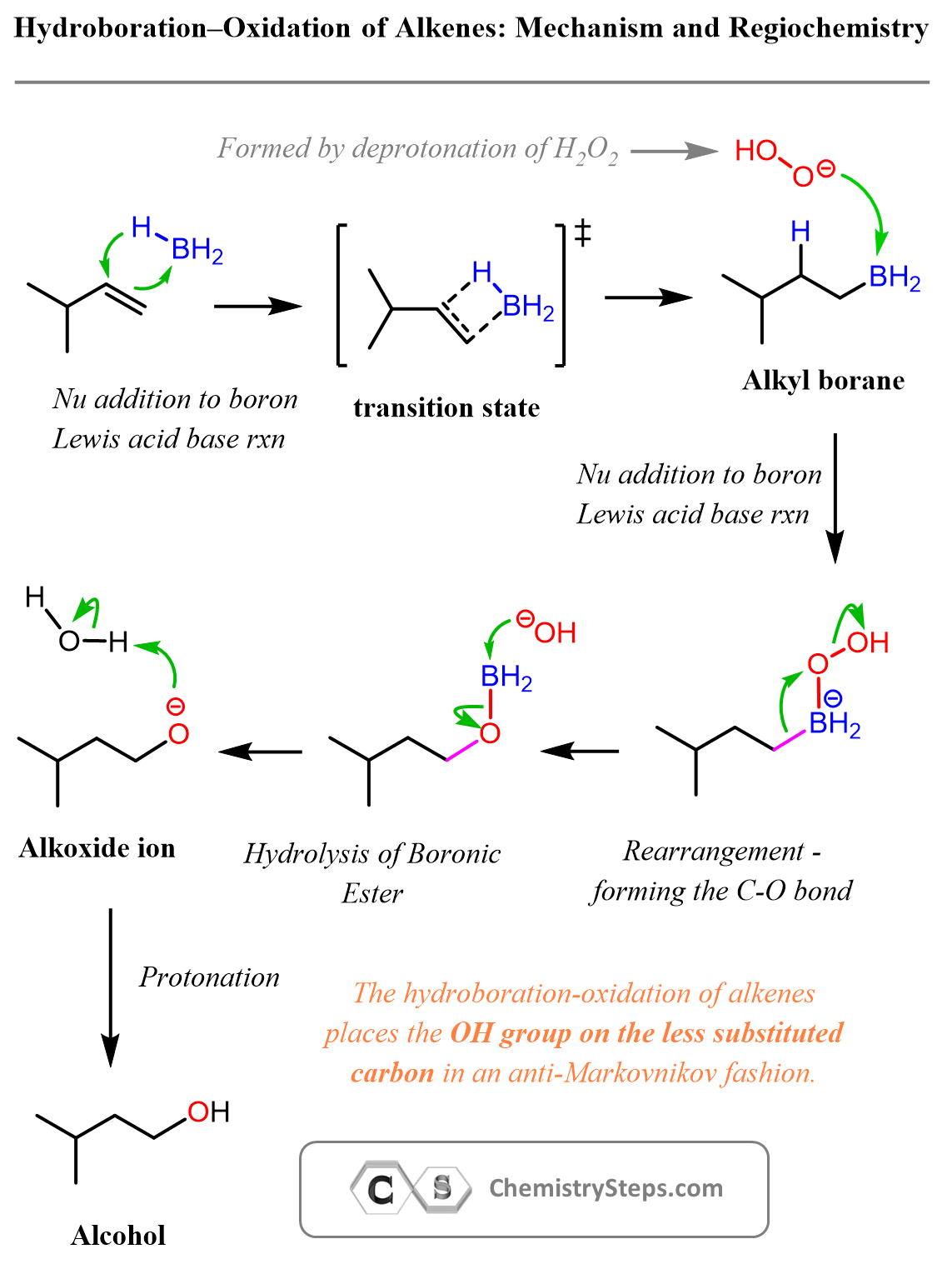 BH3 alkene Hydroboration-Oxidation Mechanism anti-markovnikov