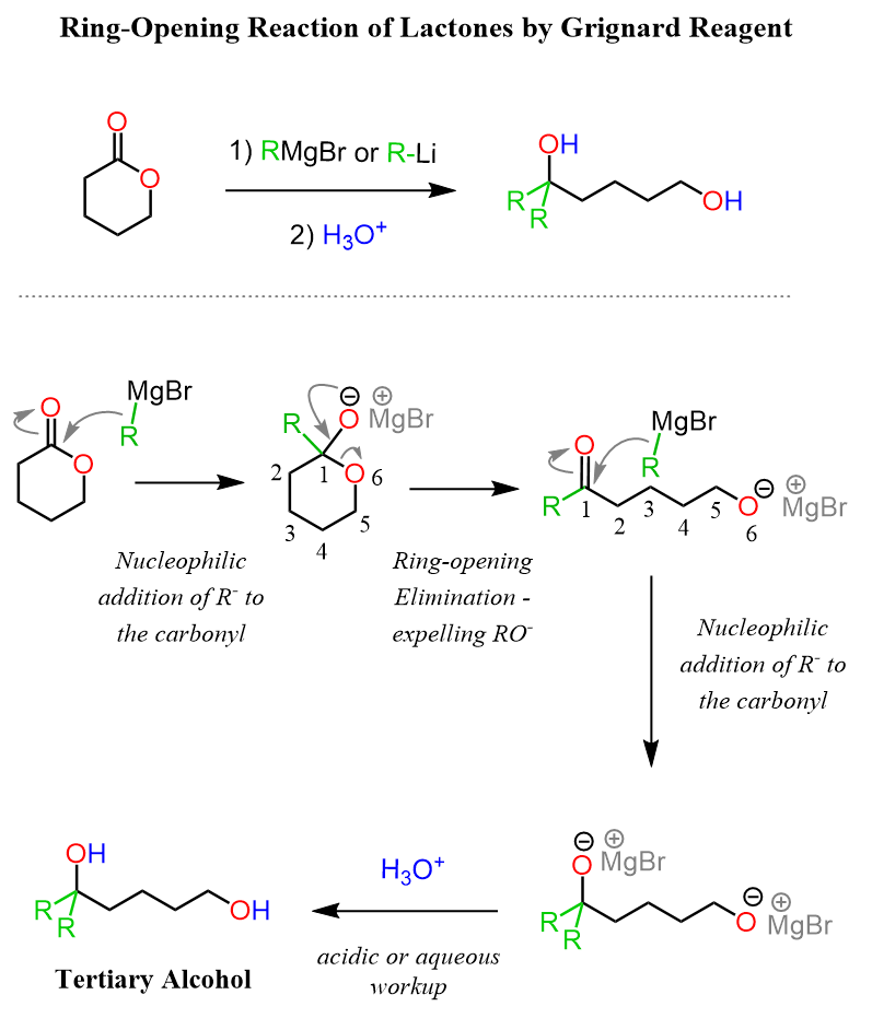 Ring-Opening Reaction of Lactones by Grignard Reagent
