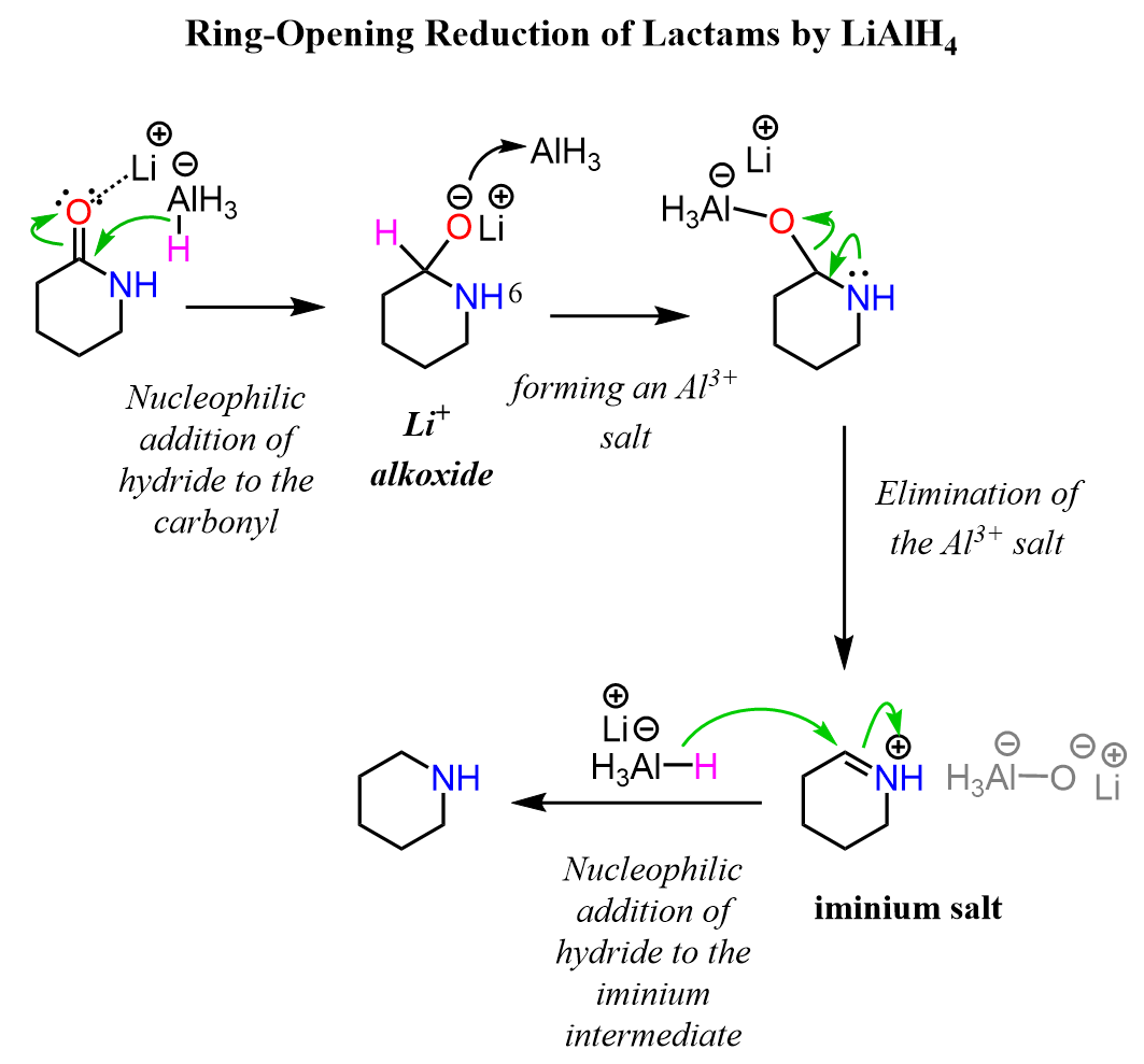 Ring-Opening Reduction of Lactams by LiAlH4