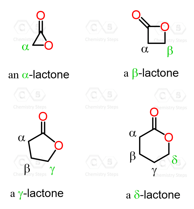 alpha beta gamma delta lactones