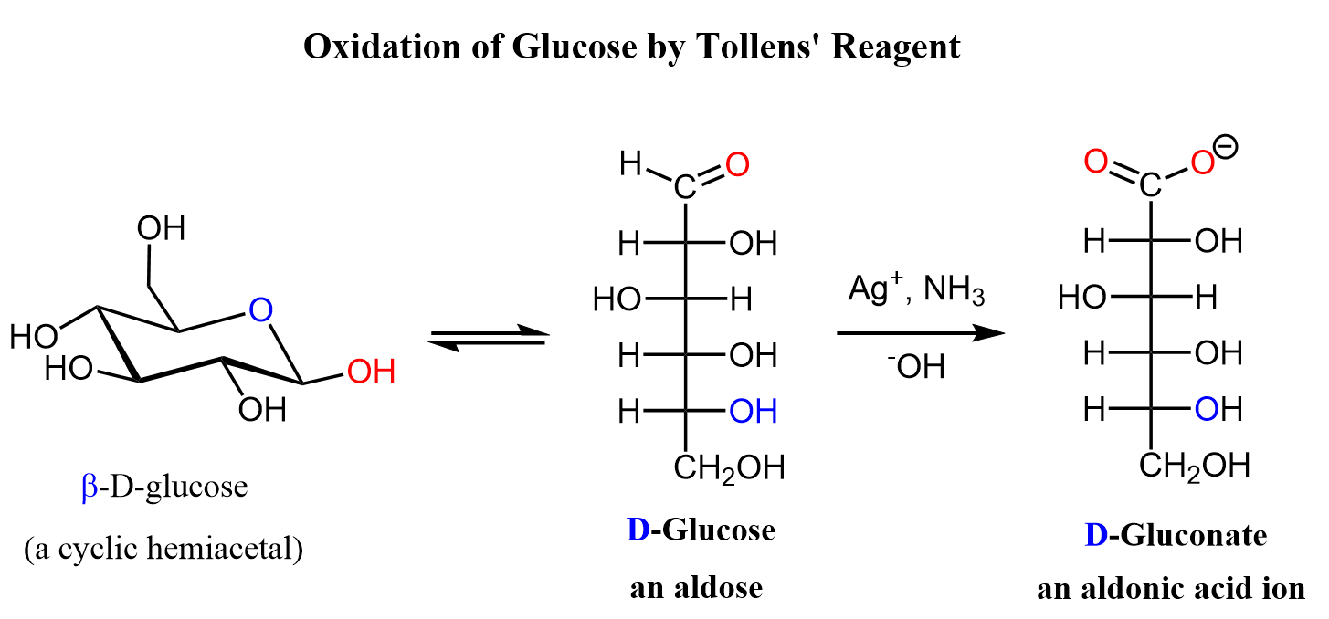 Oxidation of Glucose by Tollens Reagent