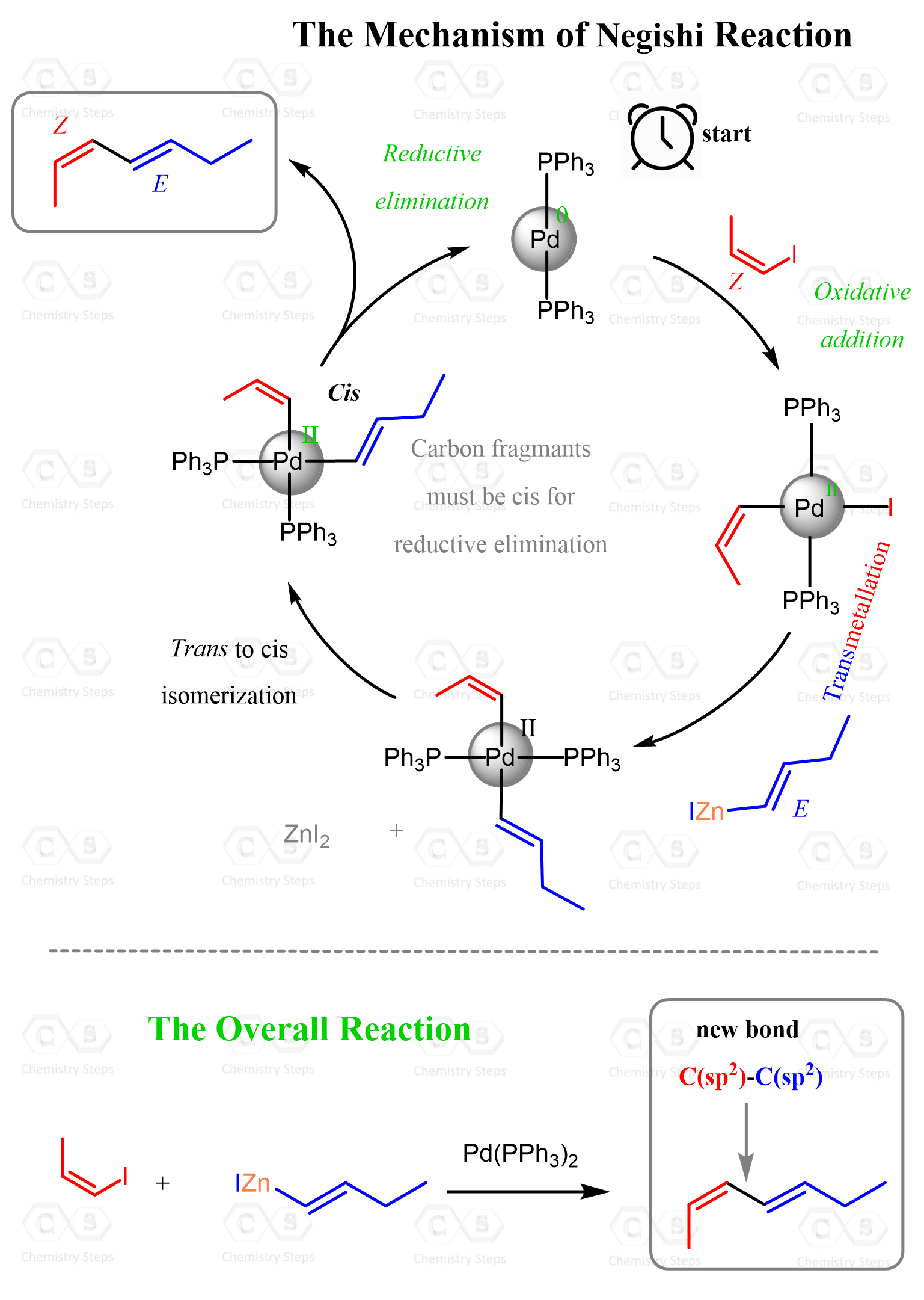 Negishi Reaction Mechanism