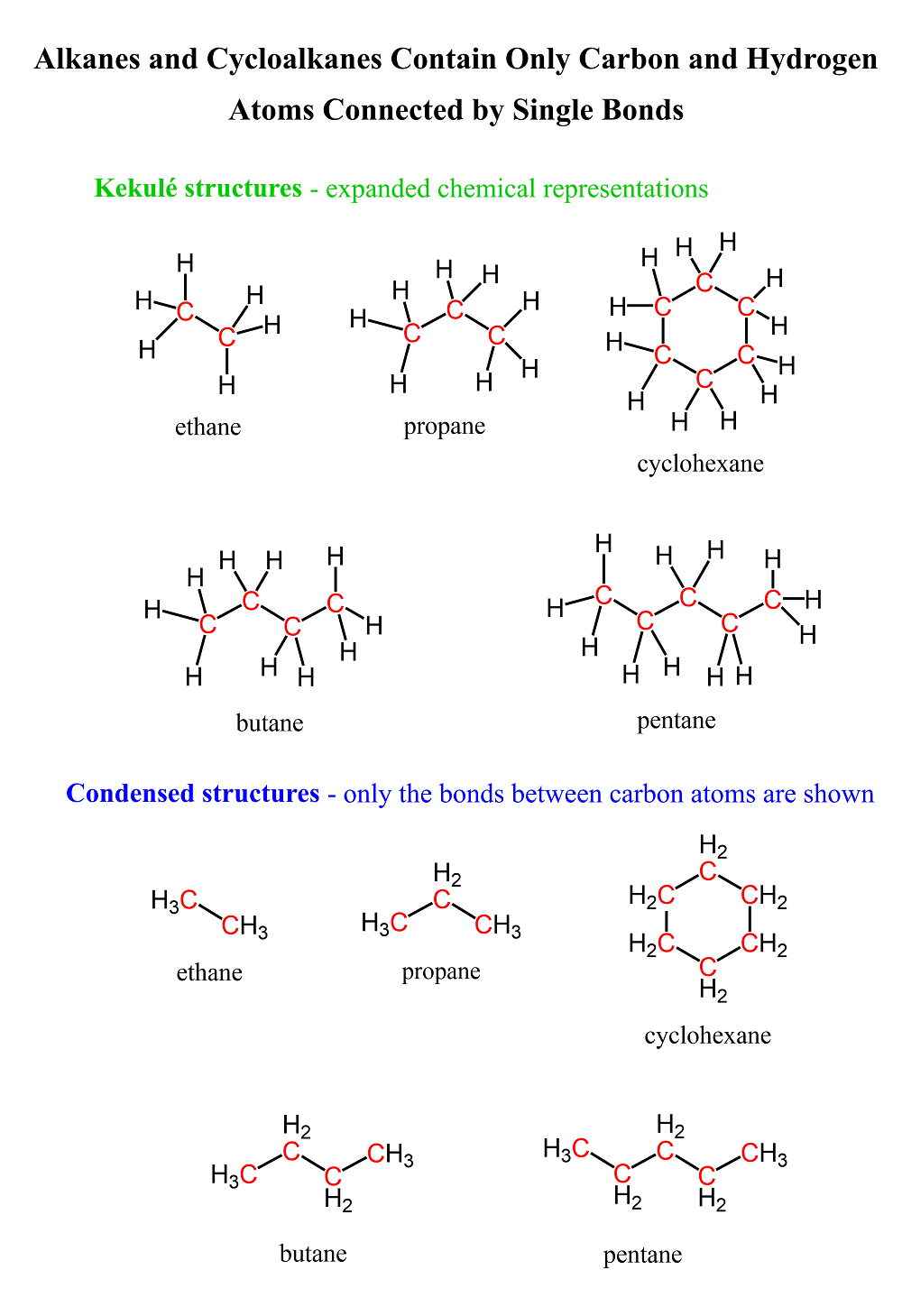 Structure of alkanes only single bonds