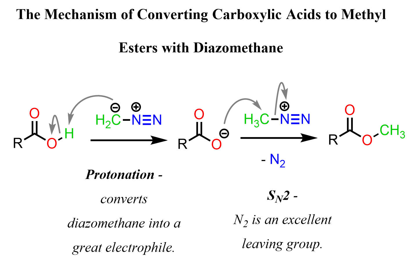 Mechanism of Converting Carboxylic Acids to Methyl Esters with Diazomethane CH2N2